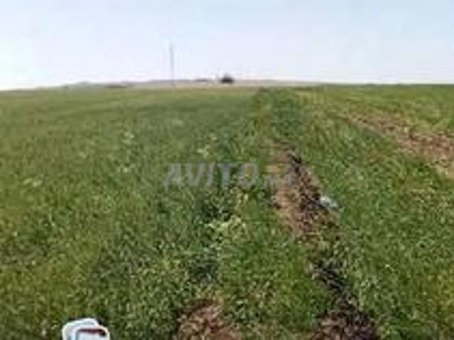 Propriété vente à Mediouna, Gharb-Chrarda-Beni Hssen