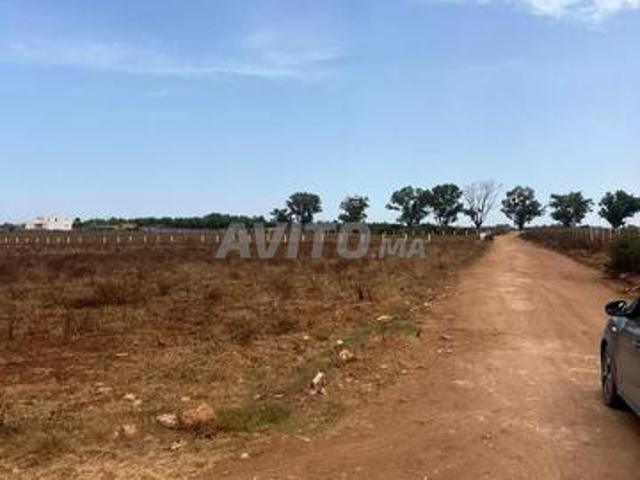 Propriété vente à El Ma, Gharb-Chrarda-Beni Hssen