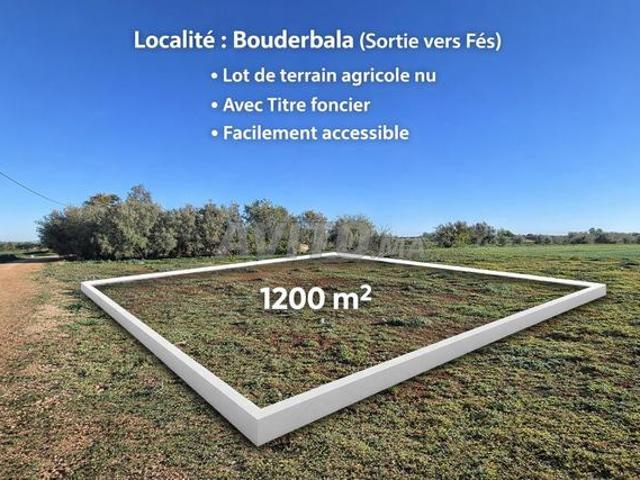 Propriété vente à El Hajeb