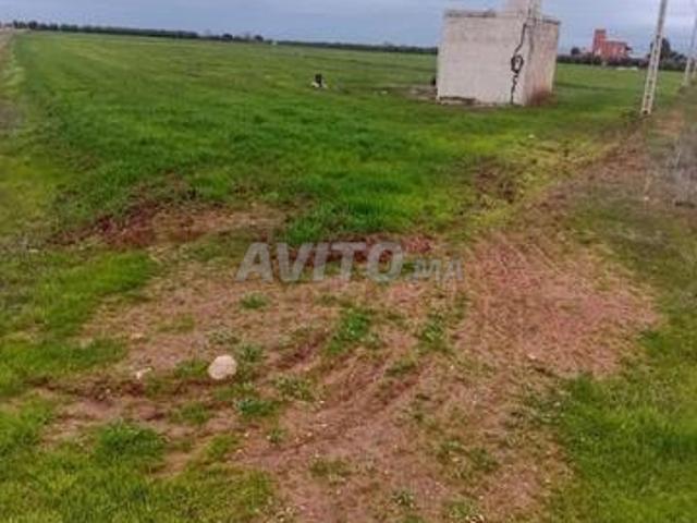 Propriété vente à Mellal