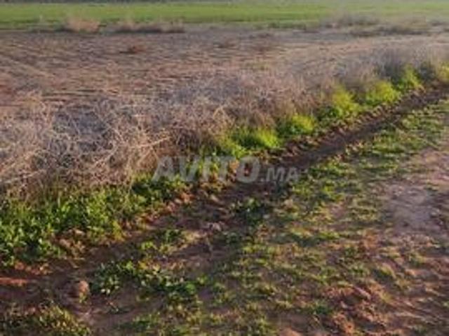 Propriété vente à Ouarzazate