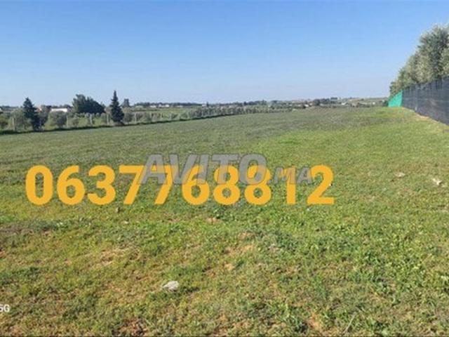 Propriété vente à El Ma, Gharb-Chrarda-Beni Hssen