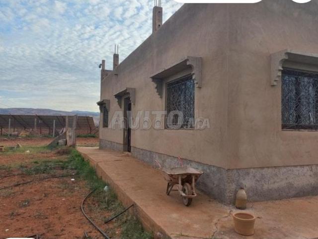 Terrain vente à Laattaouia, L'Oriental