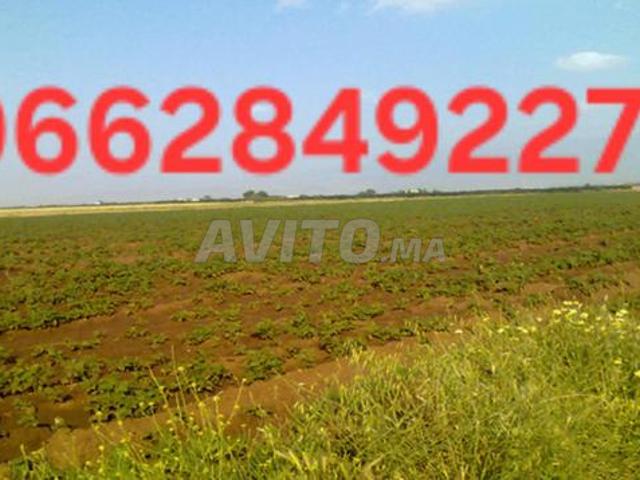 Propriété vente à El Ma, Gharb-Chrarda-Beni Hssen