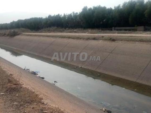 Propriété vente à Mellal