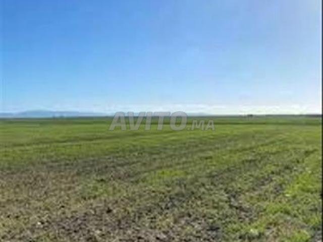 Propriété vente à El Ma, Gharb-Chrarda-Beni Hssen