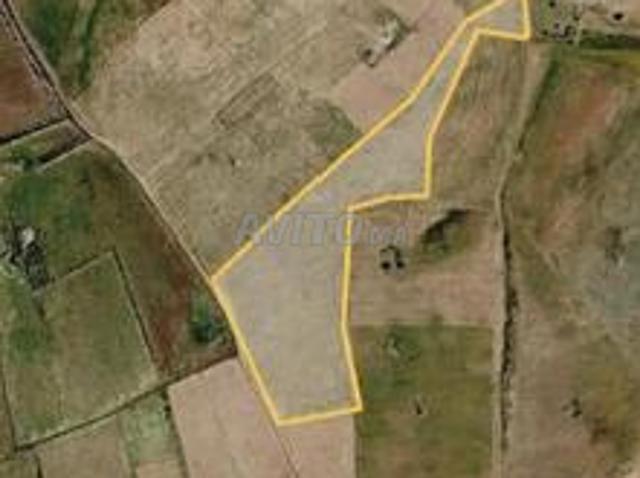 Propriété vente à Khémisset