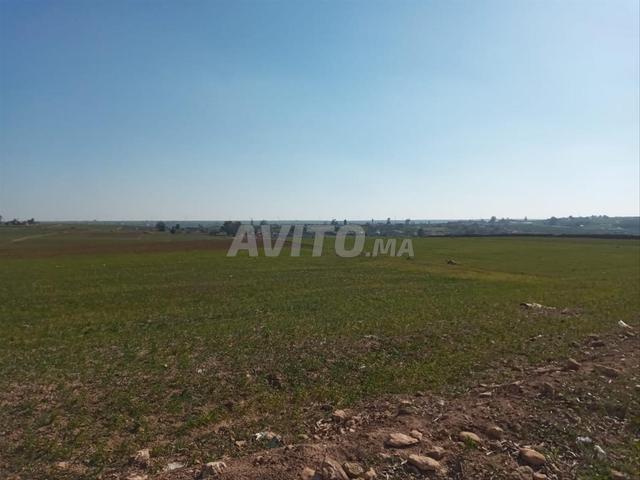 Propriété vente à El Ma, Gharb-Chrarda-Beni Hssen