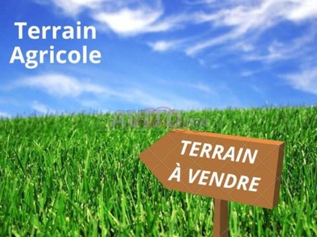 Terrain vente à Marrakech, L'Oriental