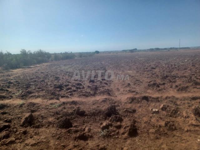 Propriété vente à El Ma, Gharb-Chrarda-Beni Hssen