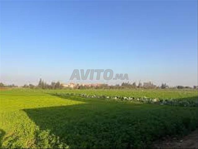Propriété vente à Berrechid, Gharb-Chrarda-Beni Hssen