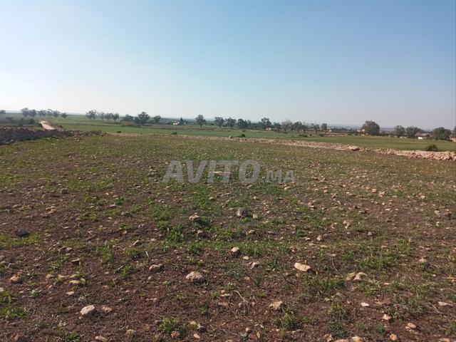Propriété vente à El Ma, Gharb-Chrarda-Beni Hssen