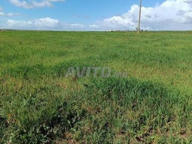Propriété vente à El Ma, Gharb-Chrarda-Beni Hssen