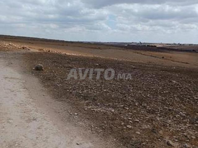 Propriété vente à El Ma, Gharb-Chrarda-Beni Hssen