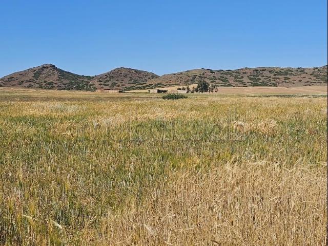 Terrain vente à Aguelmous