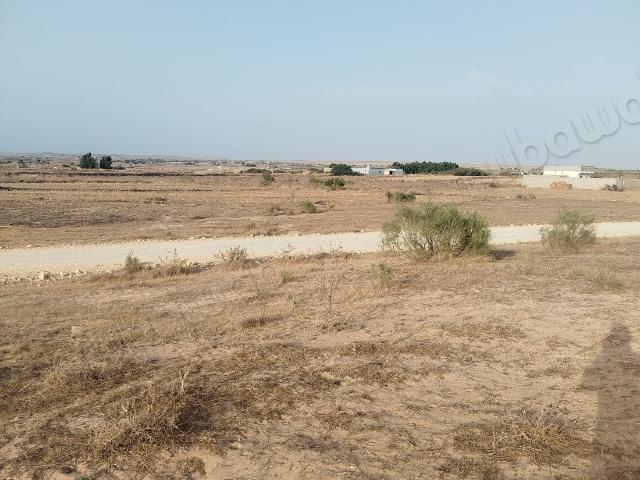 Terrain vente à Saf, L'Oriental