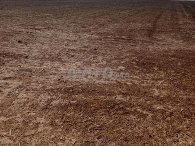 Propriété vente à Berrechid, Chaouia-Ouardigha