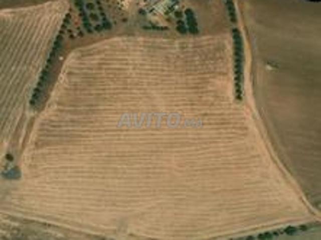 Propriété location