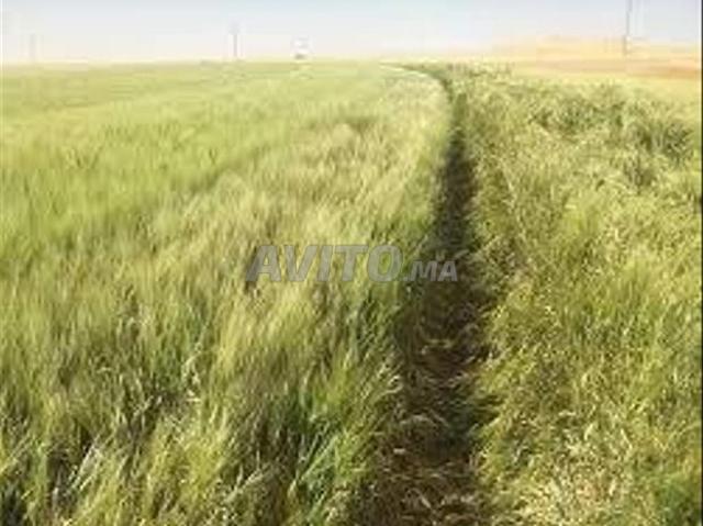 Propriété vente à Berrechid, Gharb-Chrarda-Beni Hssen
