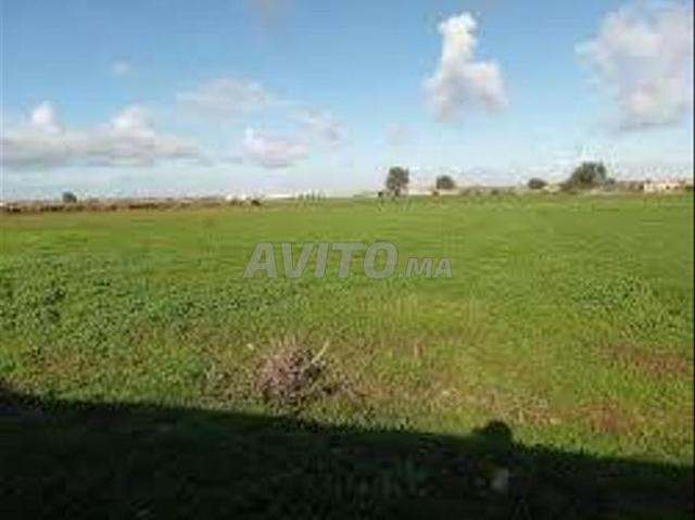 Propriété vente à Settat, Gharb-Chrarda-Beni Hssen