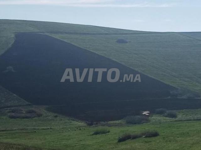 Propriété vente à Khémisset ⵅⴻⵎⵉⵙⵙⴻⵜ الخميسات, Province de Khémisset إقليم الخميسات
