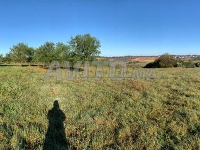 Terrain vente à Sidi Allal El Bahraoui