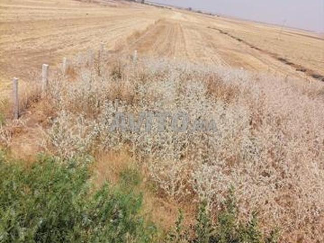 Propriété vente à Berrechid, Gharb-Chrarda-Beni Hssen