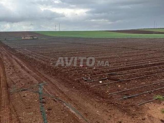 Propriété vente à Meknès
