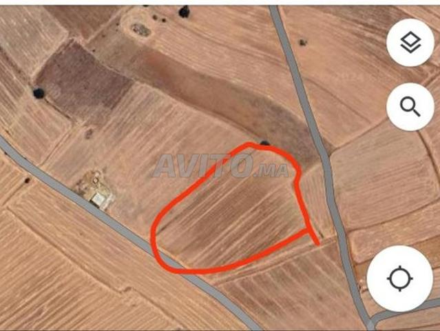 Propriété vente à Khémisset