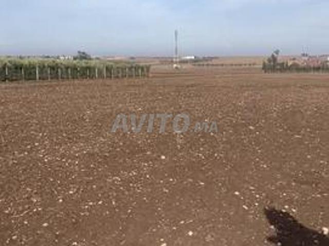 Propriété vente à Settat, Gharb-Chrarda-Beni Hssen