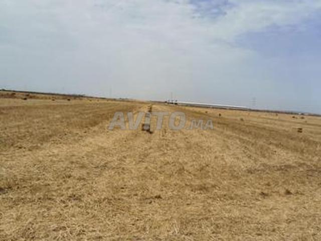 Propriété vente à Oulad Said, Gharb-Chrarda-Beni Hssen