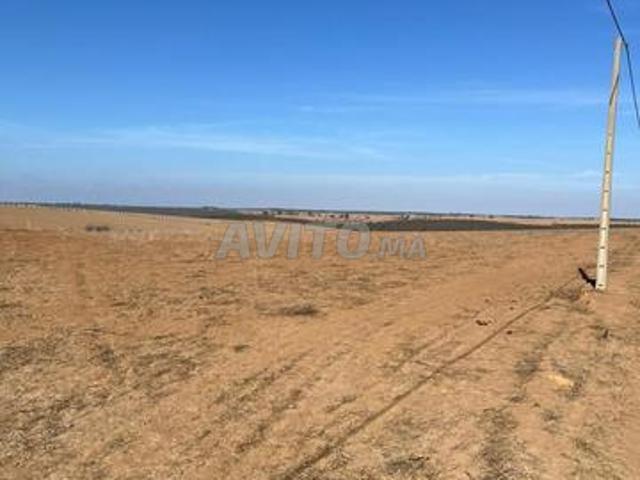 Propriété vente à Sidi Bettach, Gharb-Chrarda-Beni Hssen