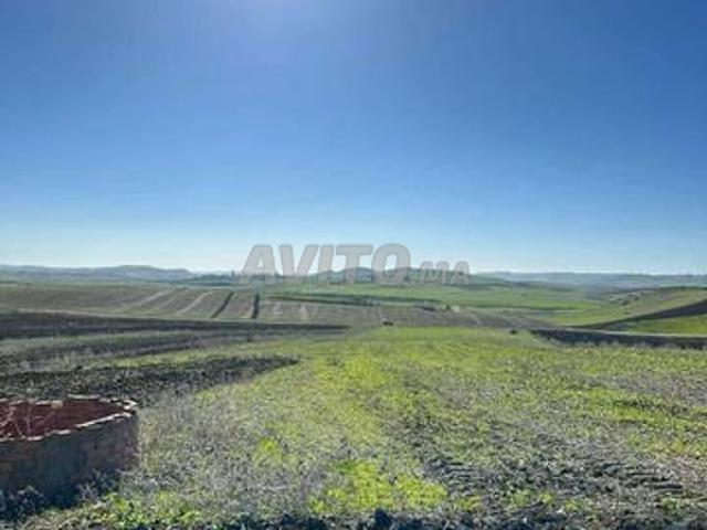 Propriété vente à Assilah, Tanger-Tétouan