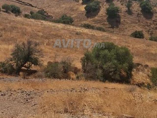 Propriété vente à Sidi Bettach, Gharb-Chrarda-Beni Hssen