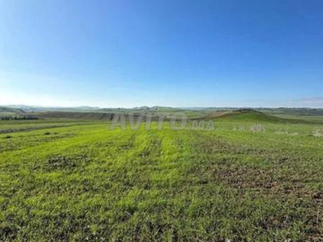 Propriété vente à Assilah, Tanger-Tétouan