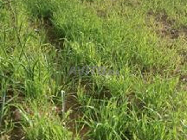Propriété vente à Oulad Rahal, Gharb-Chrarda-Beni Hssen