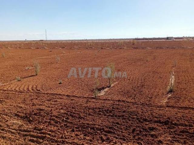 Propriété vente à Chichaoua, L'Oriental