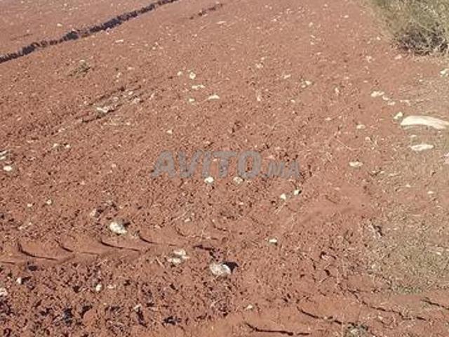 Propriété vente à El Ma, Gharb-Chrarda-Beni Hssen