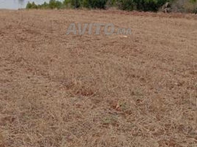 Propriété vente à Azemmour أزمور, Province d'El Jadida إقليم الجديدة