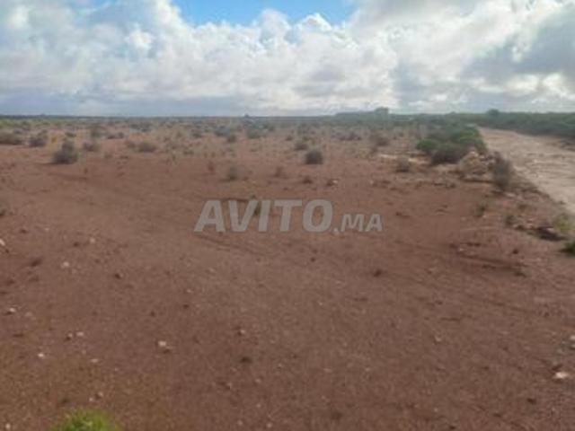 Propriété vente à Tiznit, Oued ed Dahab-Lagouira
