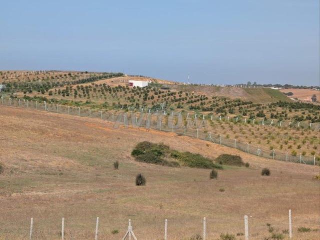 Propriété vente à Assilah, Tanger-Tétouan