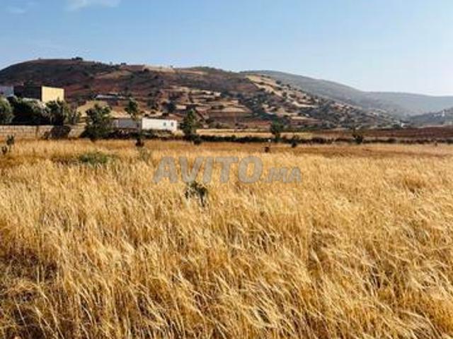 Propriété vente à Essaouira, L'Oriental