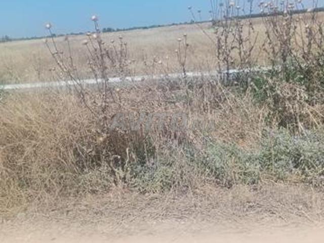 Propriété vente à Mellal