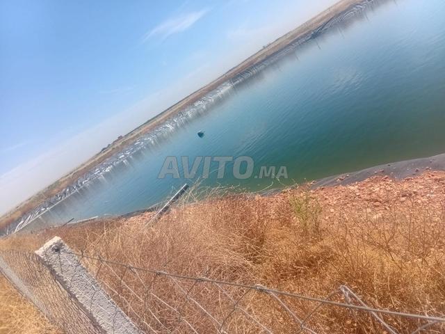 Propriété vente à Mellal
