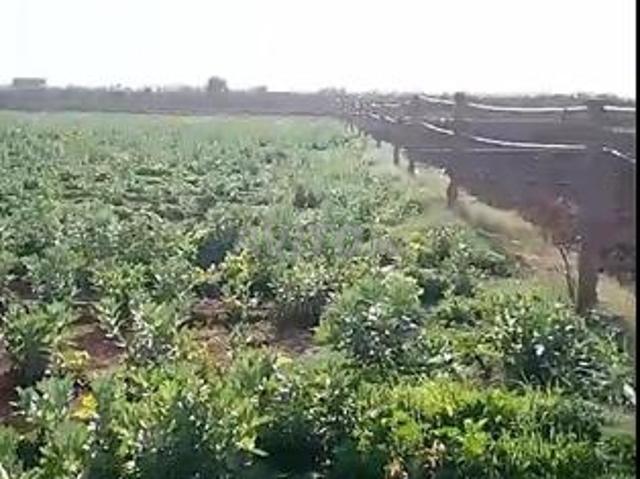 Propriété vente à Berkane