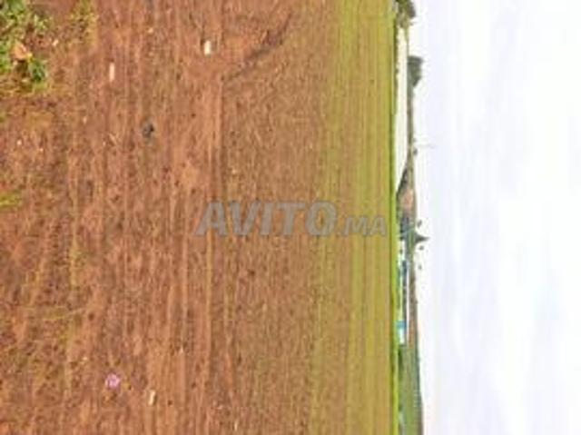 Propriété vente à Salé