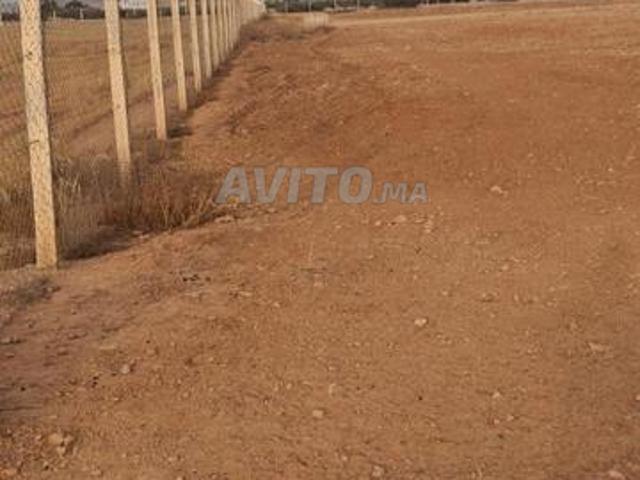 Propriété vente à Nador