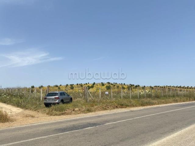 Terrain vente à Larache, Tanger-Tétouan