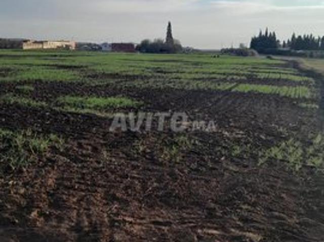 Propriété vente à Berrechid, Gharb-Chrarda-Beni Hssen