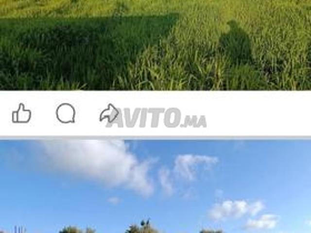 Propriété vente à El Ma, Gharb-Chrarda-Beni Hssen